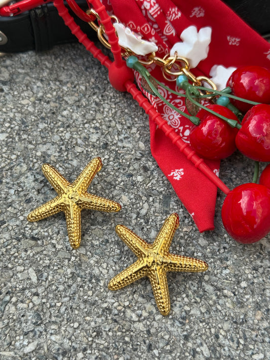 Pendientes Estrella de Mar