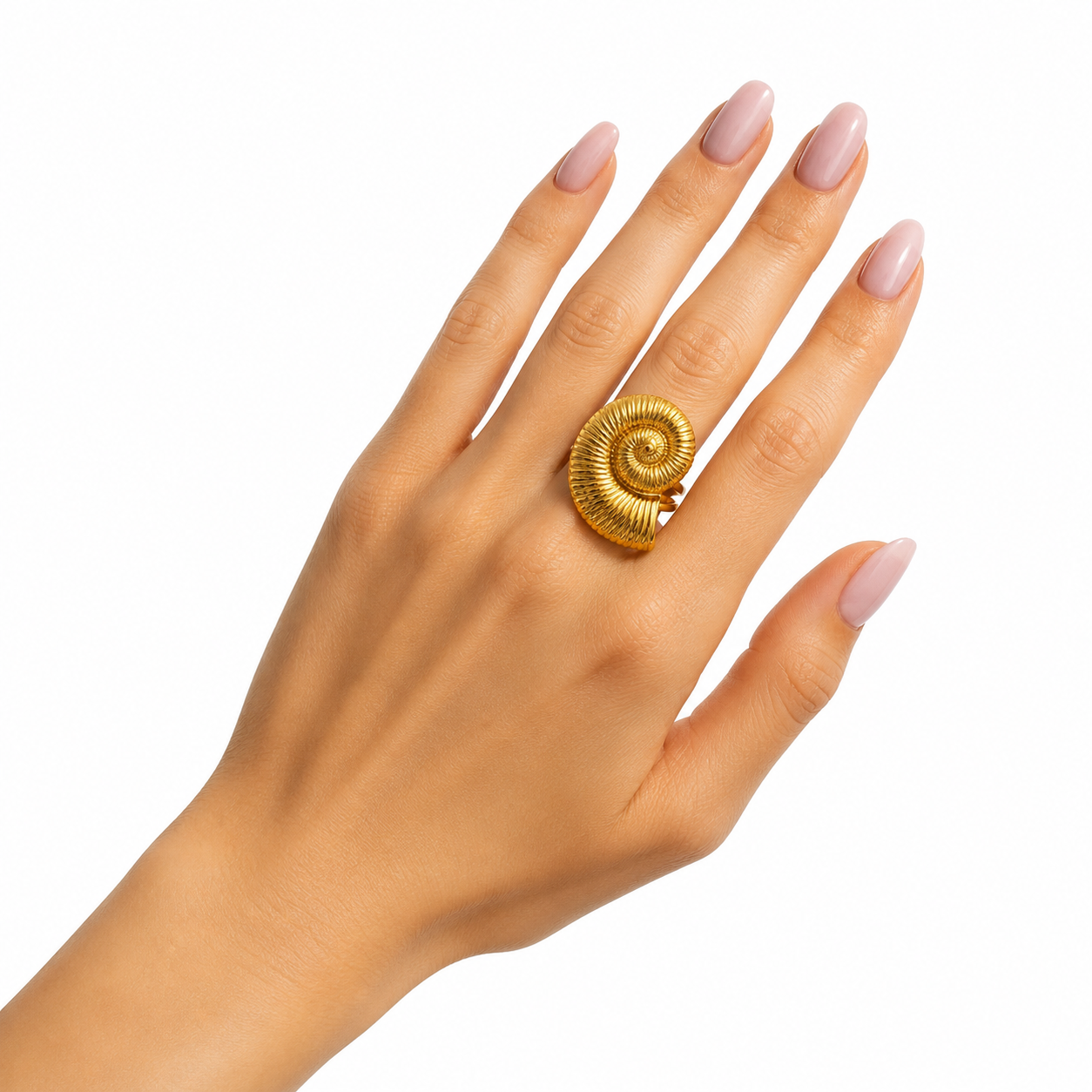 Anillo Caracol