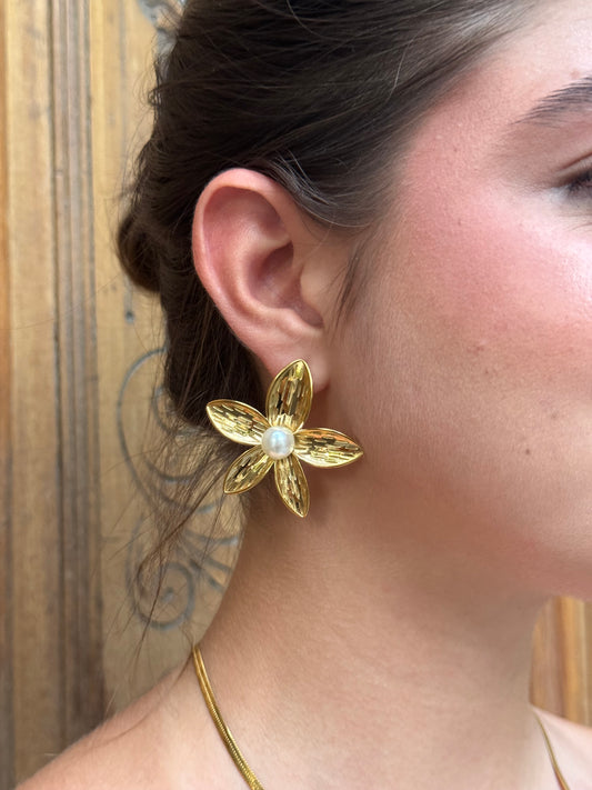 Pendientes Aurora
